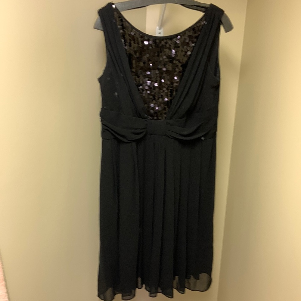 Sparkly chiffon lined dress